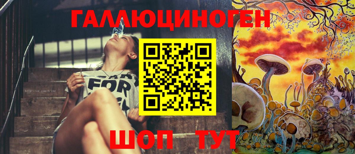 Псилоцибиновые грибы мухоморы Дербент