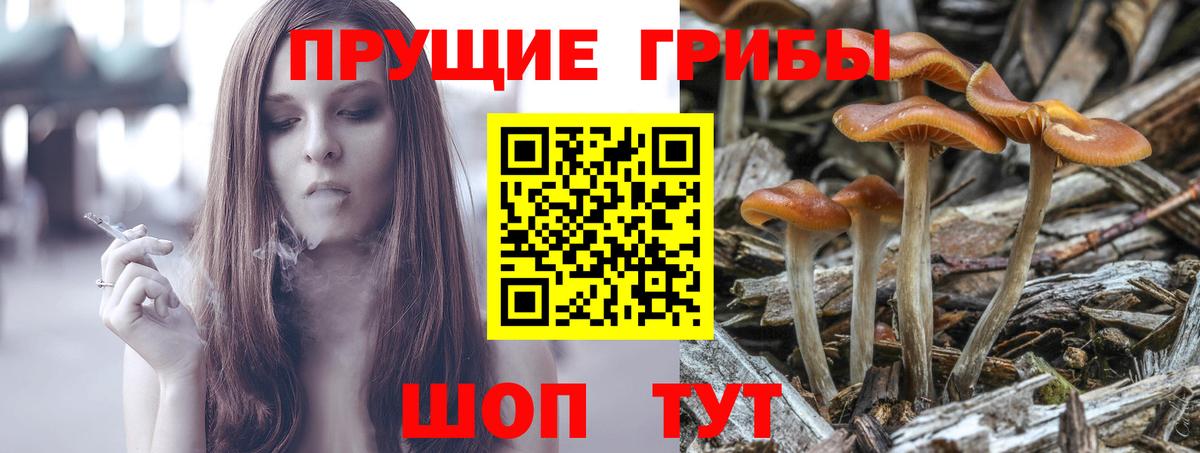 Дербент  Галлюциногенные грибы Cubensis  Галлюциногенные грибы прущие грибы  Вход с VPN 