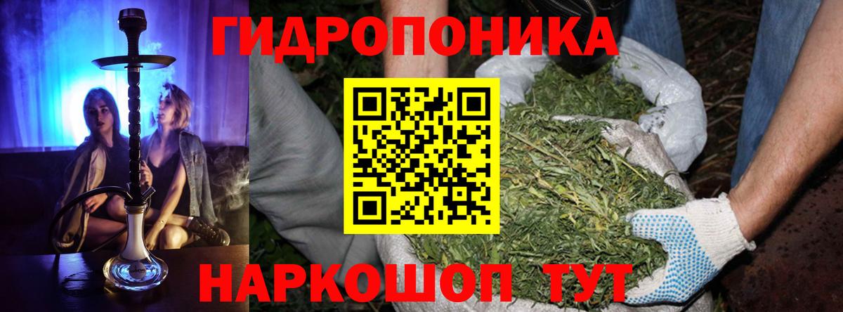 Бошки Шишки марихуана Дербент